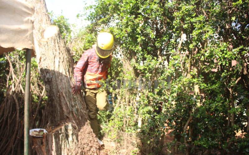 residents who had milled around the home... 