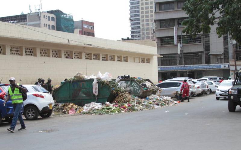 Badi city sinking in stinky trash