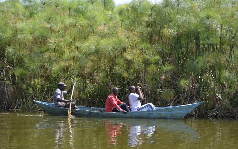 Conservationists in Siaya and Busia taking action to save Yala swamp