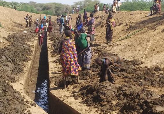 County Revives Irrigation Schemes At Sh M Farmkenya Initiative