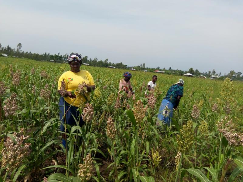 Sons are banned from planting until the sexual ritual is fulfilled