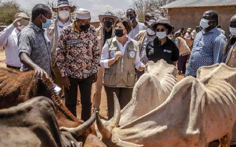 Drought-stricken families in West Pokot to receive Sh5,000 stipend