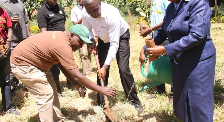 Equity jump-starts 35 million tree project across the country
