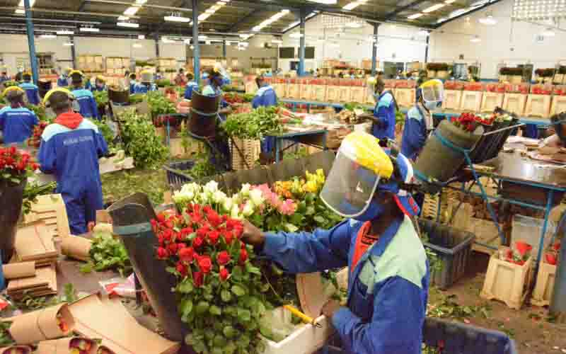 Flower exports drop by 7.5pc on market lockdown