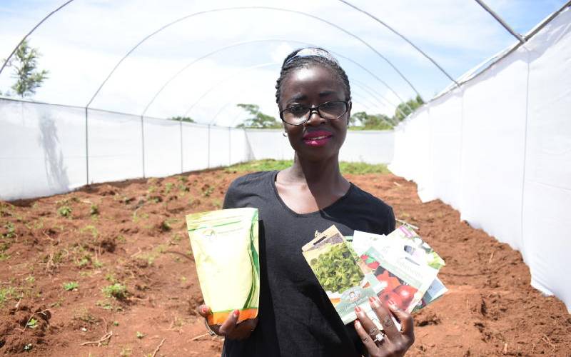 From cruising European skies to farming herbs