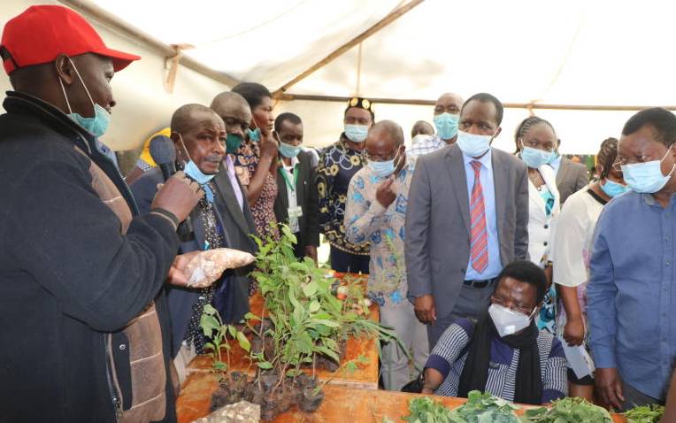 Herbalists urged to find Covid cure