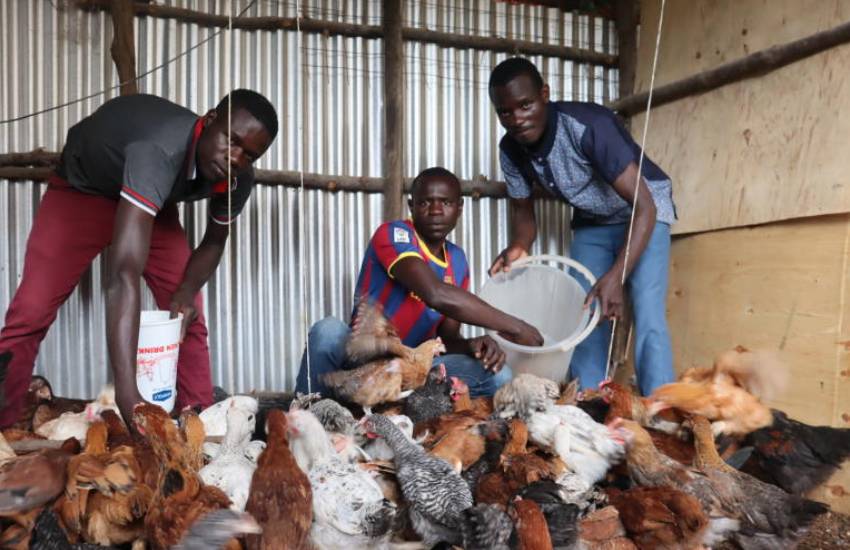 How seven graduates rose above cash issues to set up poultry empire