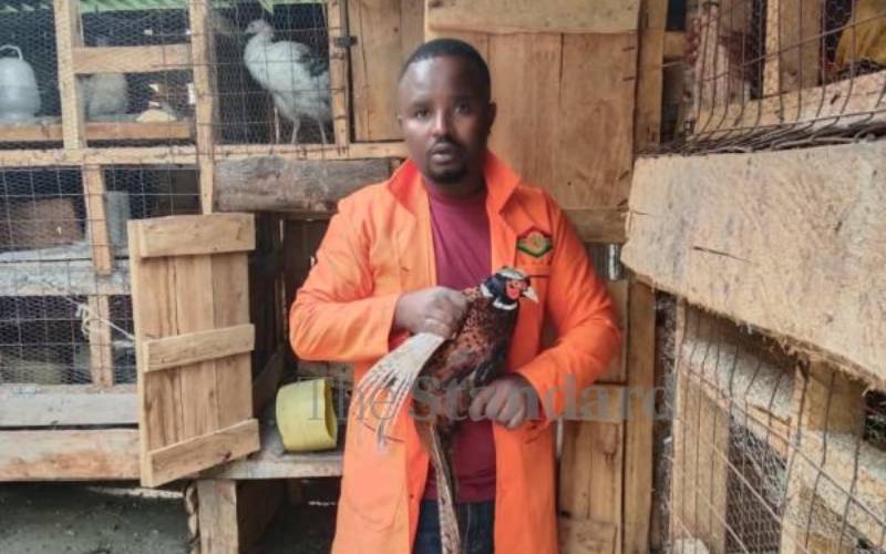 How ex-banker is making killing from ornamental birds