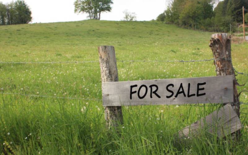 How to avoid cons and court battles when buying that land