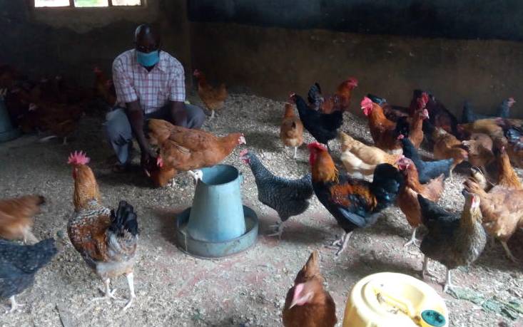 Private school transforms into farm to beat corona crisis: The ...