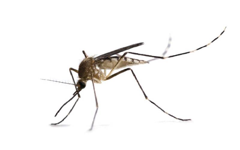 Malaria burden in Kenya drops by two percent on dose uptake