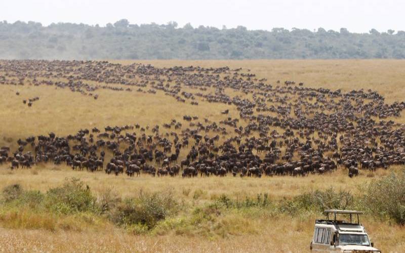Masai Mara ranked among ‘most instagrammable destinations' globally