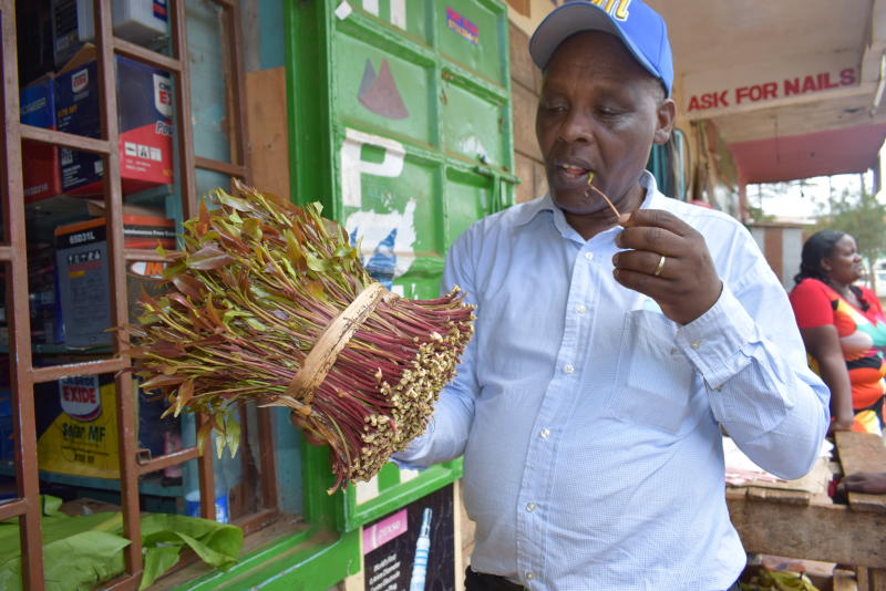 Miraa farms attacked by pests