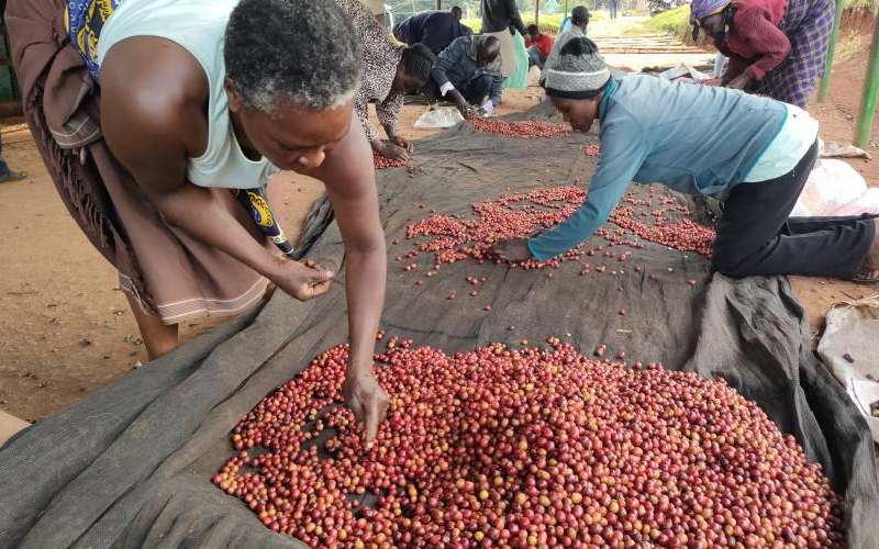 MPs reject Peter Munya's decision to extend coffee broker licences