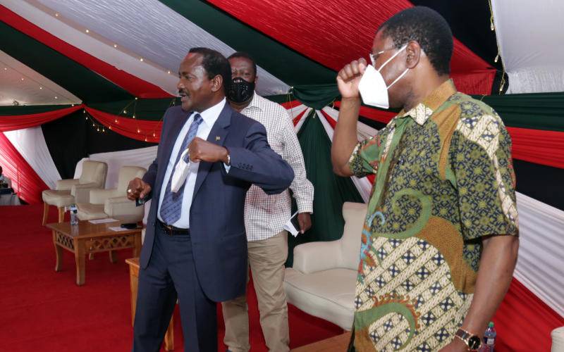 NASA principals sideline Raila in strategy to win by-elections 