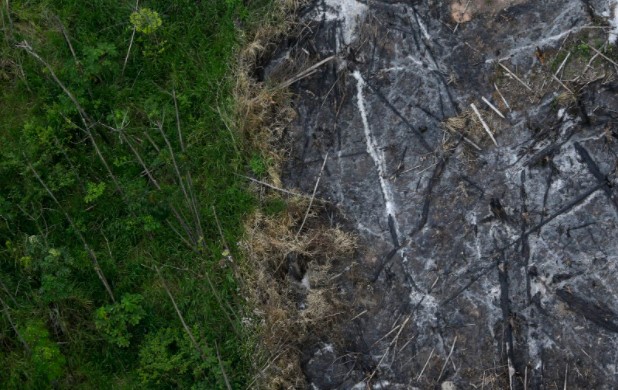 Bangsa membuat janji baru untuk memotong metana, menyelamatkan hutan di KTT iklim