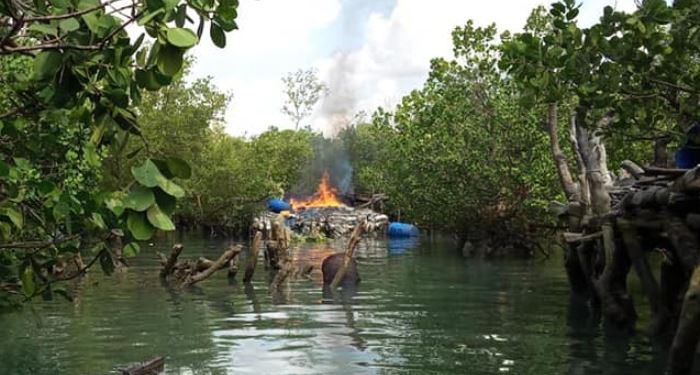 Raid unearths illegal activities in mangrove forest ecosystems