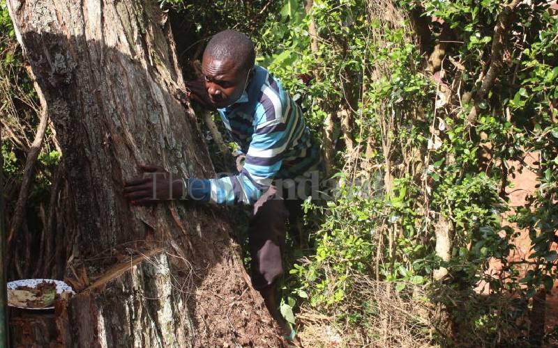 sneaked into the DG’s compound and started...