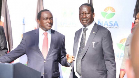 Raila and Kalonzo fume over security