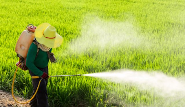 Science, not politics, informs pesticides petition