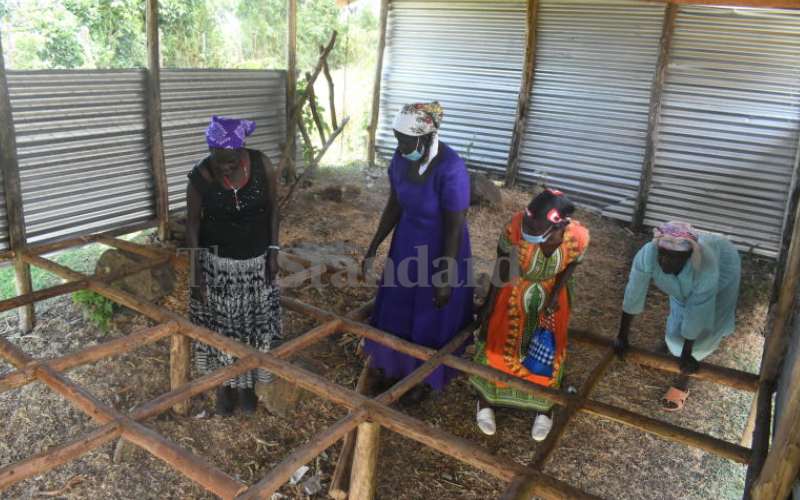 Sh3m donor funding to farmers at stake as poultry project stalls