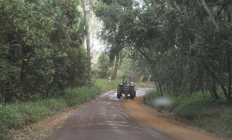 Sh48b needed to raise forest cover to 10 per cent