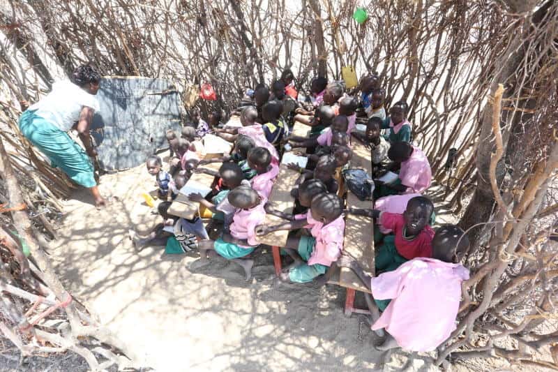 Studying under trees robs children's dignity