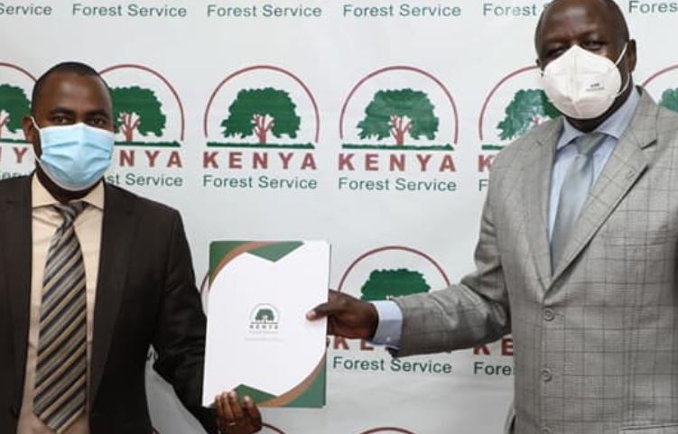 Talks to certify forests gather momentum