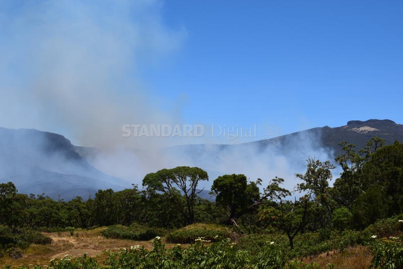 80,000 hectares of Mt Kenya forest destroyed by fire