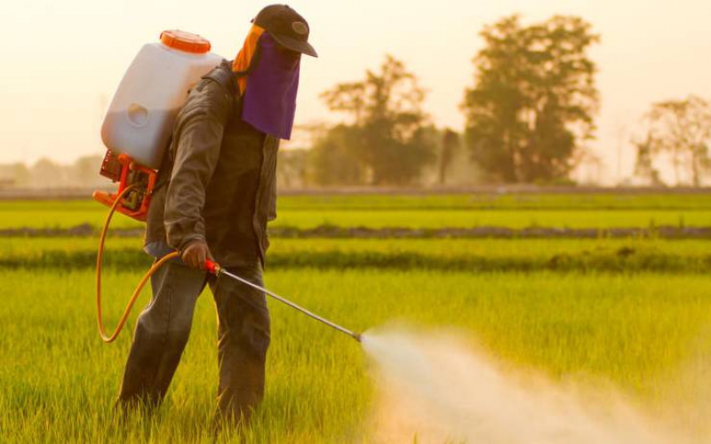 Allegations on safety of pesticides misleading
