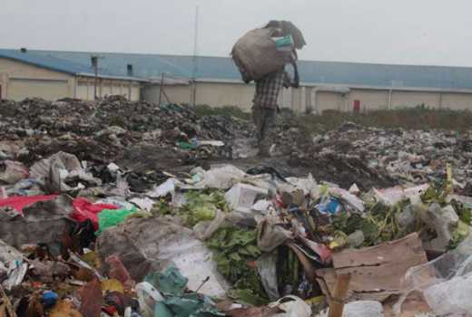 Blow to Nyong'o as court halts relocation of infamous dumpsite