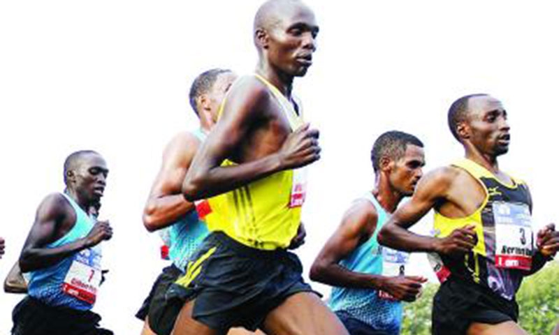 Chebet to lead Kenyans in Frankfurt Marathon