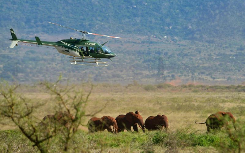 County wants State to surrender Tsavo