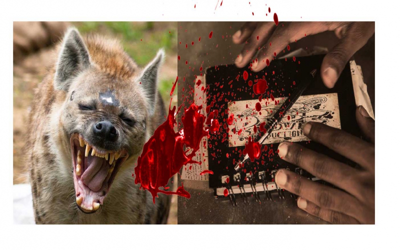 Hyena eats four fingers of student saving his mother  