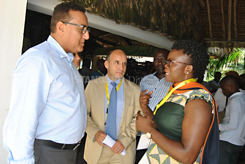Kenya: There’s need to overhaul tourism sector to boost