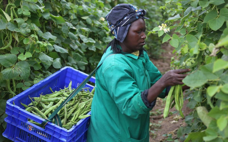 Kenya’s agriculture, industry joined at hip