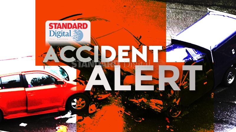 Lorry crashes into houses, kills four