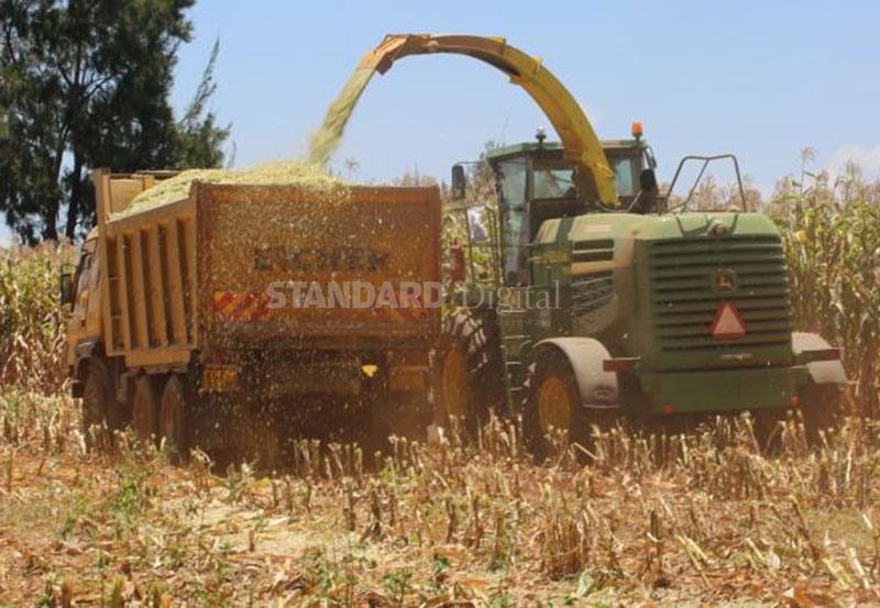 Low funding a risk to Kenya’s food security