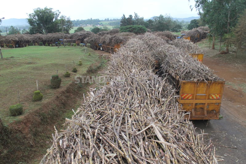 Miller to pay farmers Sh25m to clear debt