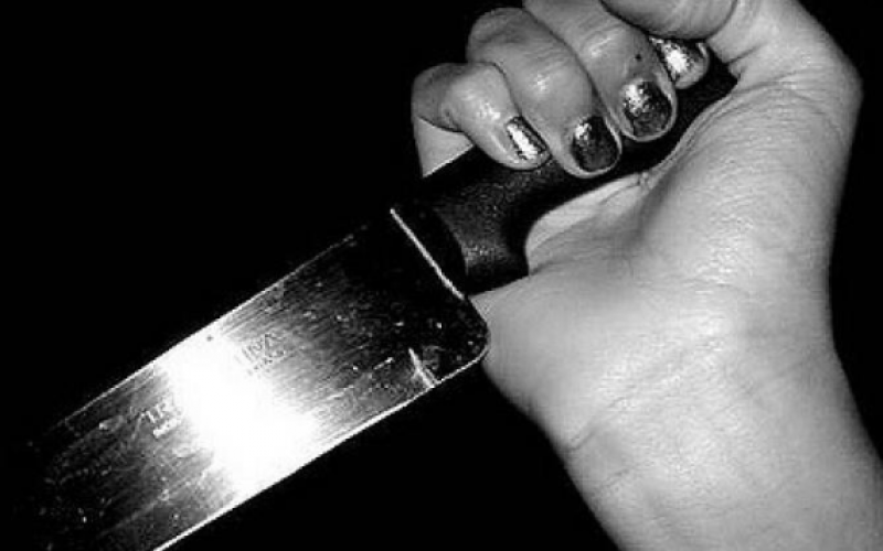 Pregnant woman stabs brother-in-law to death