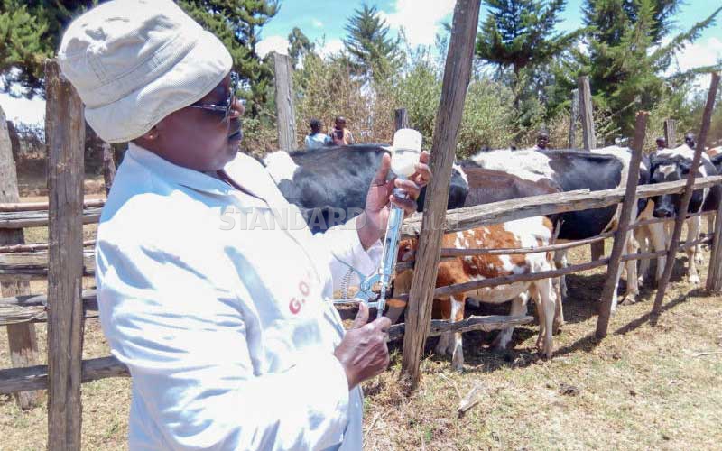 Sh2.6m spent on vaccinating 10,000 cows