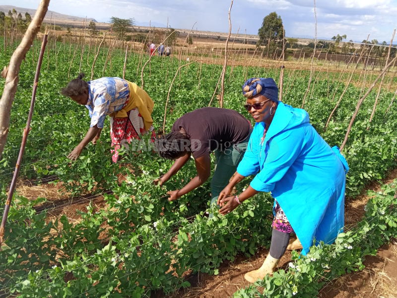 She quit her job to start farm in dry region, has no regrets