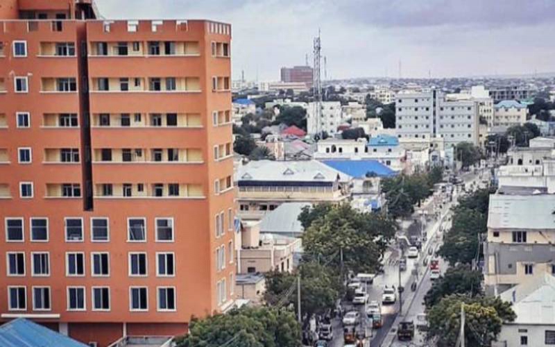 Somalia minister has no role in KQ sales tender