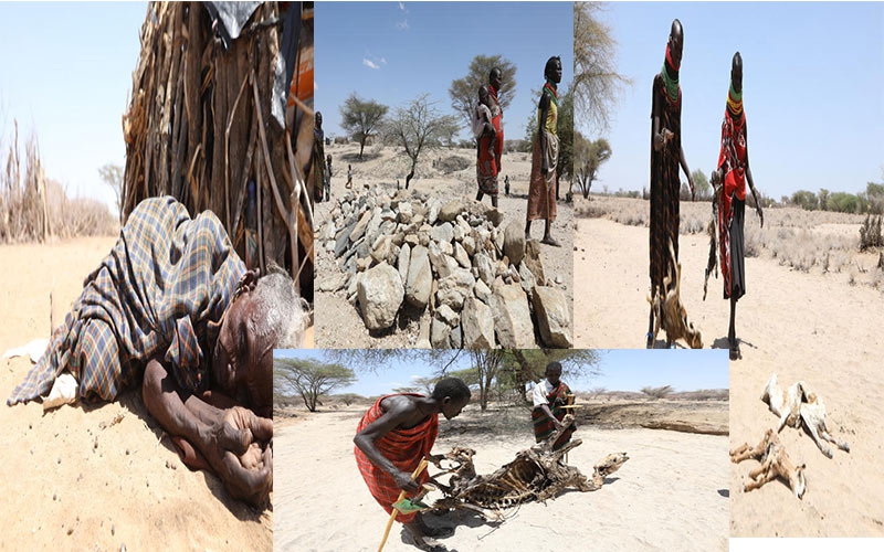 Turkana villagers dying quietly as drought bites