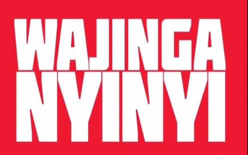 Why I refuse to accept collective 'Wajinga' tag