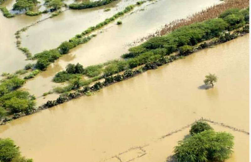 Tomatoes, watermelons submerged, leaving farmers counting losses