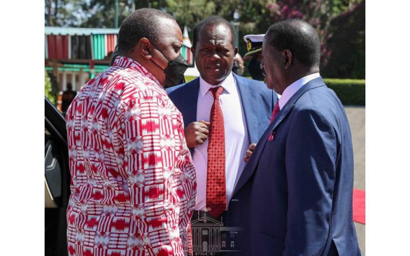 Uhuru whips Mt Kenya region to reject Ruto support Raila