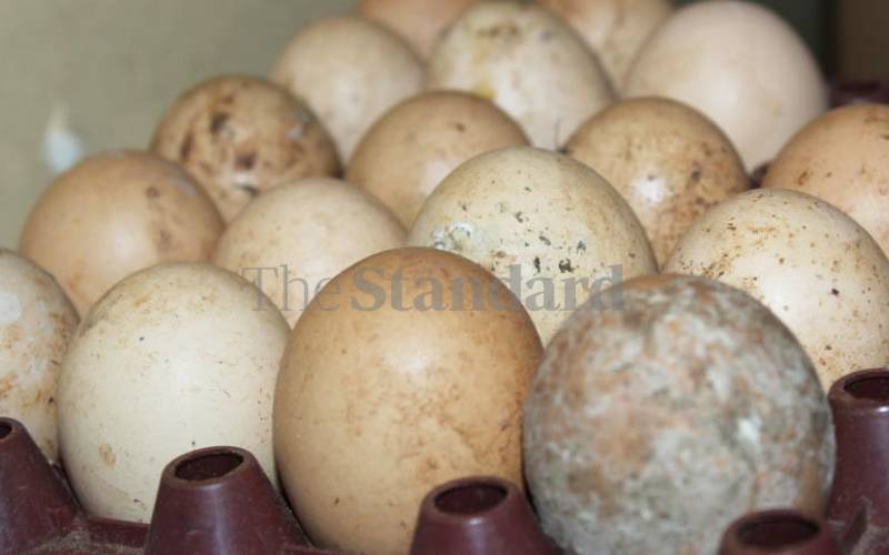 Your chickens can't lay as many eggs as ours, Uganda tells Kenya