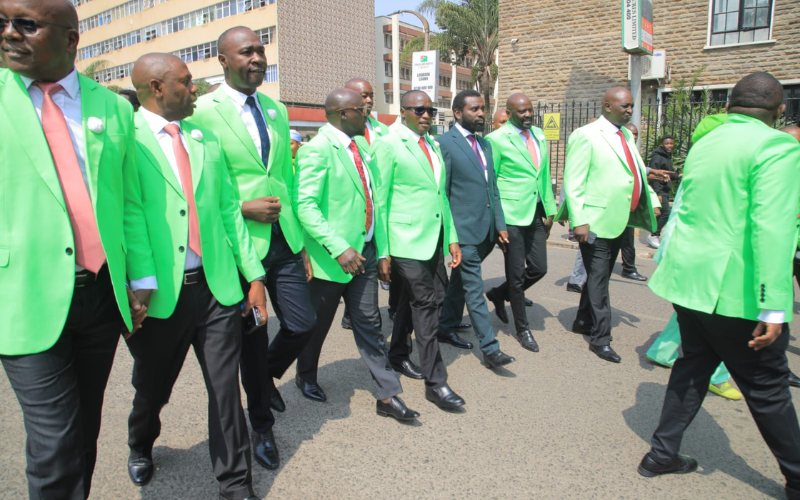 DCP-allied MPs paint Parliament green during Ol-Kalou's Sammy Kamau takes oath