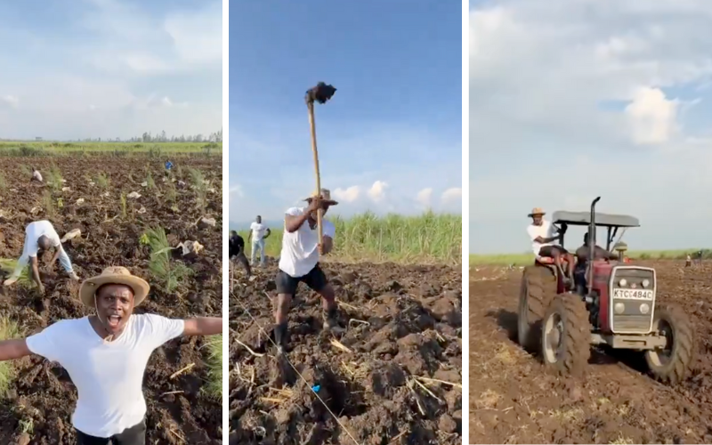 Crazy Kennar plants 2,000 trees to kick off new year: 